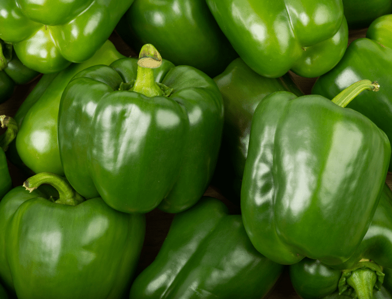 le poivron vert