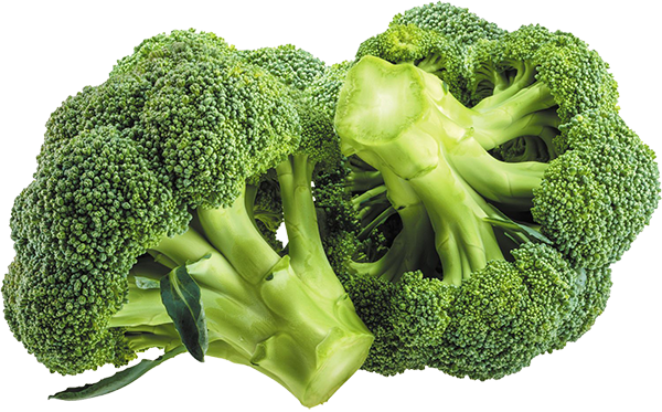 le brocoli vert