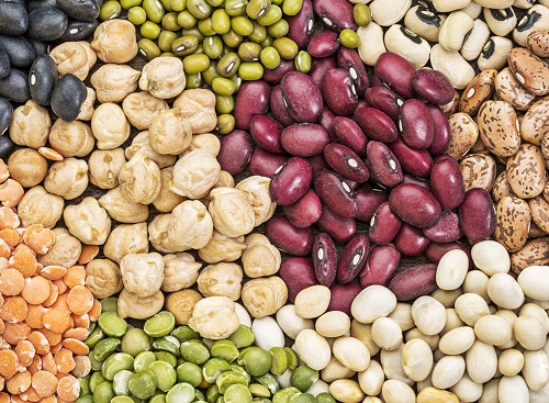 les légumineuses