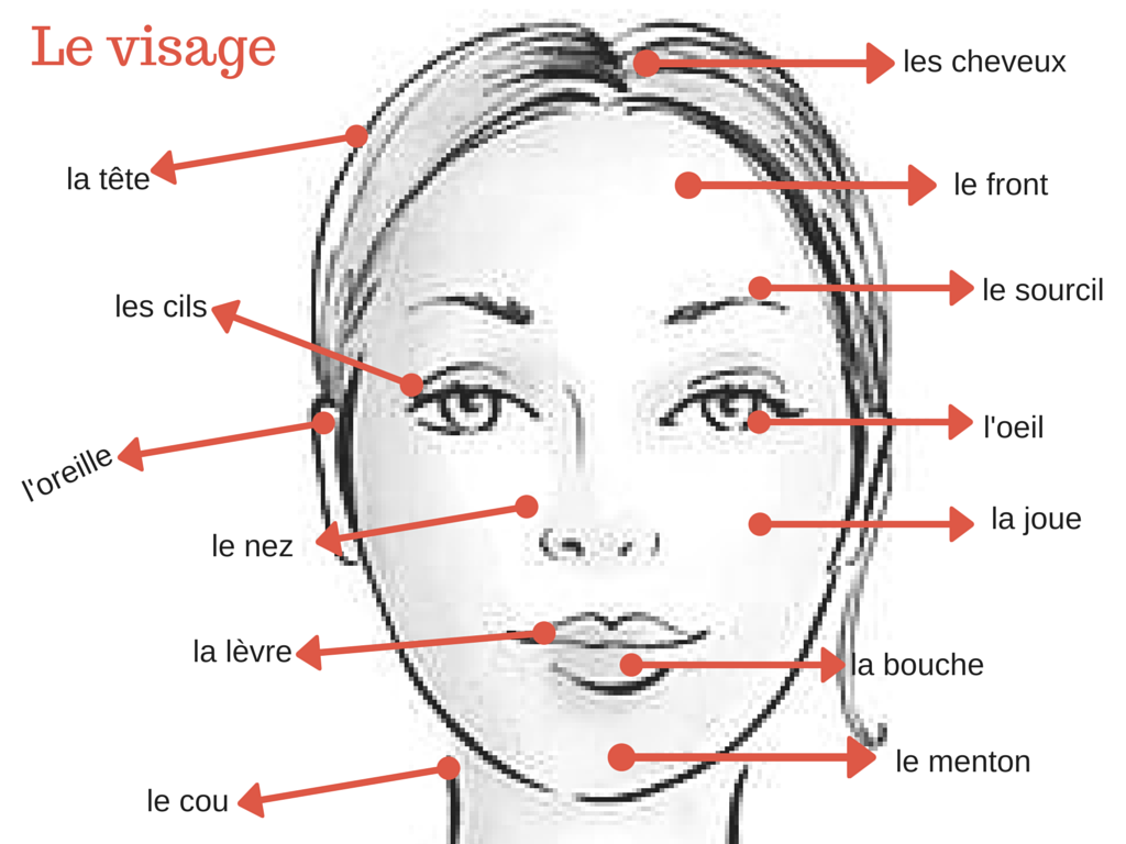 le visage